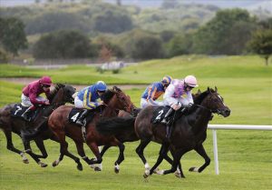 Destination Killarney - Killarney Races