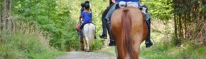 Horse Riding - Destination Killarney